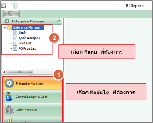 bi_report_0002_zoom80